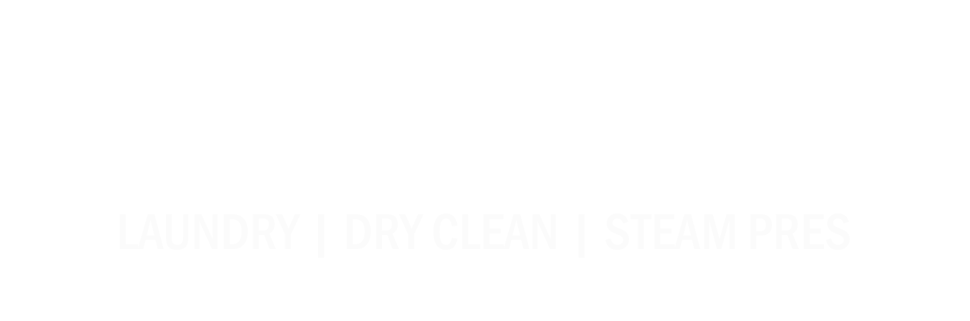 Big Wash Logo